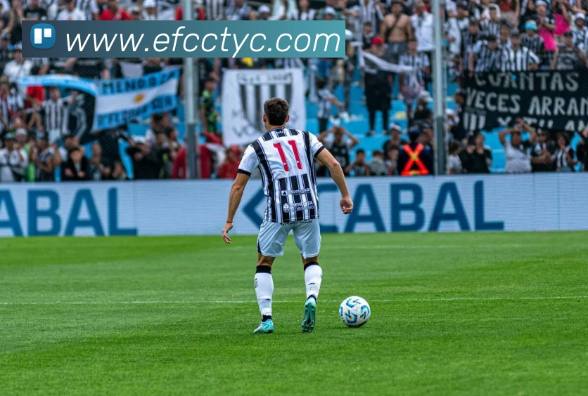 太阳城网站平台生态图